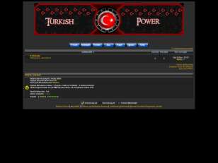 Turkish power