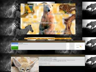 Themes animaux