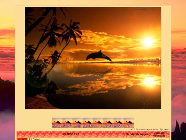 dauphin au coucher de soleil