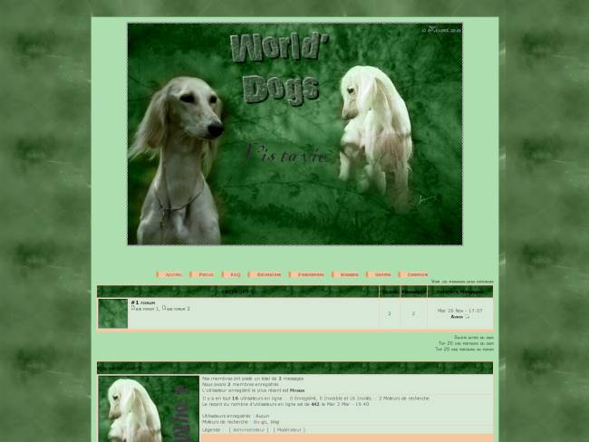 world'dogs