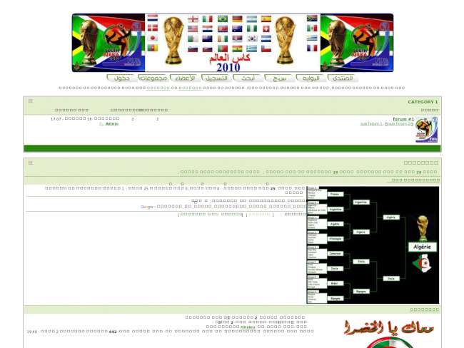 التصميم الإحترافي لكأس العالم 2010