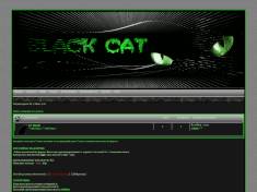 Black-cat