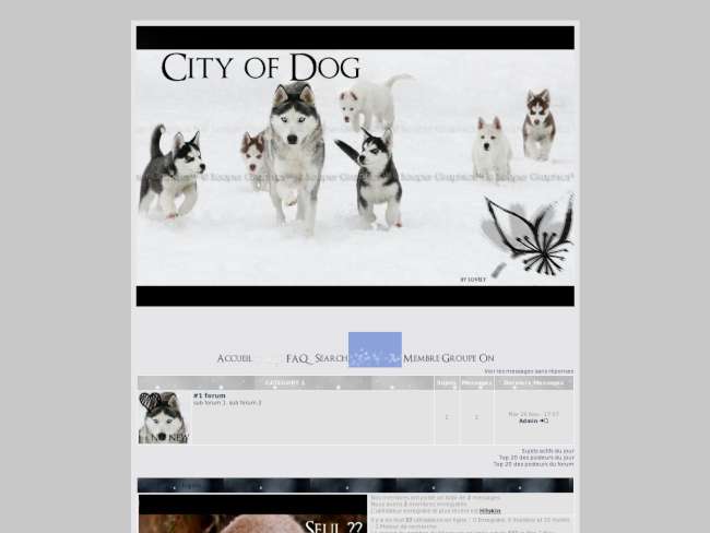 City Of Dog