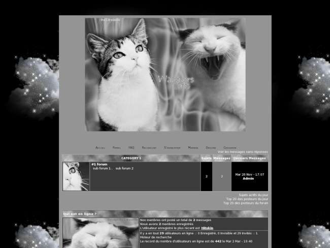 ♦ Warriros Cats, Noir & Blanc ♦