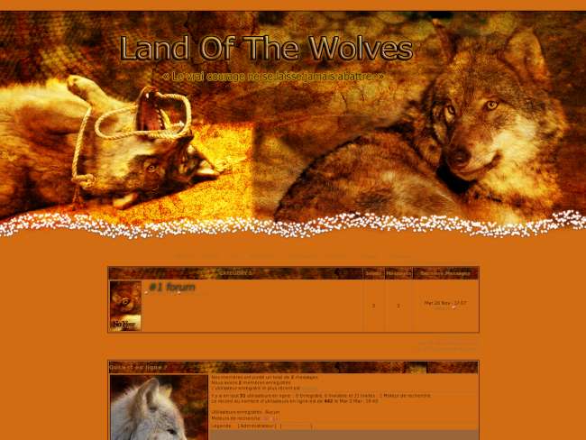 Land Of The Wolves