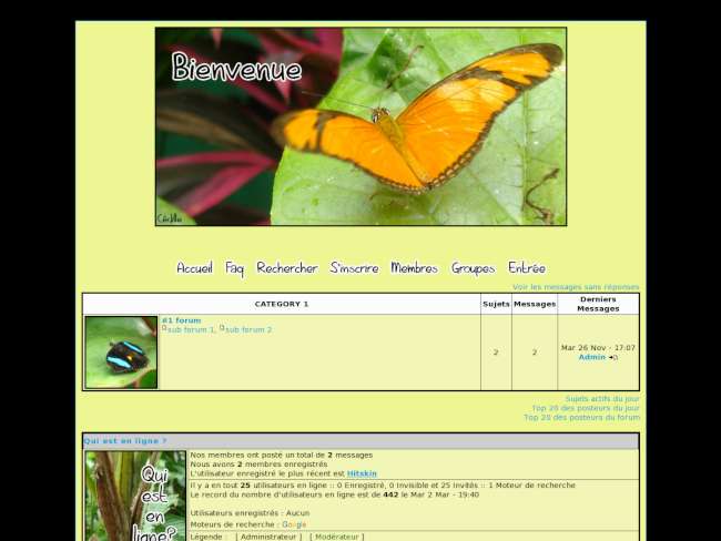 Papillons de Guyane