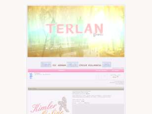 Terlan forum theme