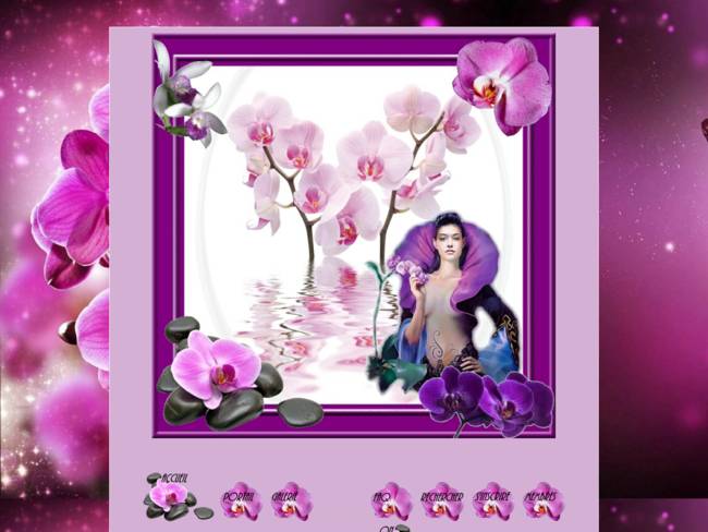 Les orchidées rose