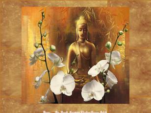 Bouddha & fleurs
